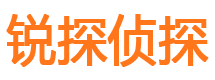 莲都市私家侦探